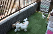 ペットホテル写真3