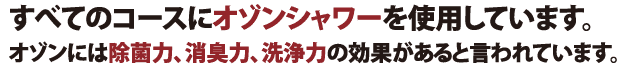 すべてのコースにオゾンシャワーを仕様しています。オゾンには除菌力、消臭力、洗浄力の効果があると言われています。